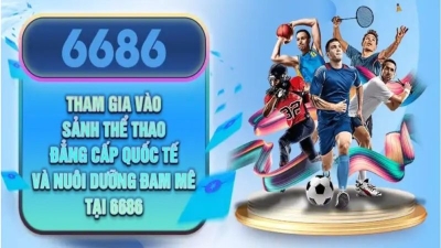 6686 - Nhà cái cá cược chất lượng hàng đầu với ưu đãi khủng